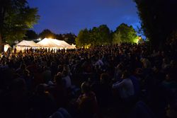 Mezinárodní festival nového cirkusu a divadla Letní Letná